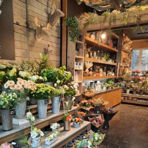 Magasin Arlon